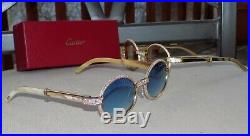 Cartier Smooth Acrylic Bezel Aqua Horn Buffalo C Décor Sunglasses Shabowhita