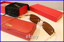 Cartier Sunglasses brown jaguar sunglasses