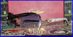 Limited Cartier Smooth Azure Lens Marble Horn Buffalo Sunglasses Shabowhita