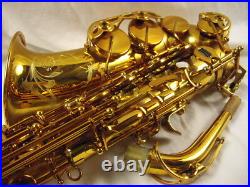 Selmer Paris Reference 54 Professional Alto Saxophone Honey Gold Lacquer Nice